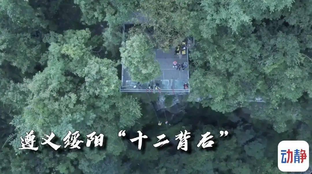 助力广西农特产品走进粤港澳大湾区